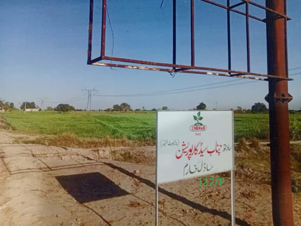 Model Farm Signboard