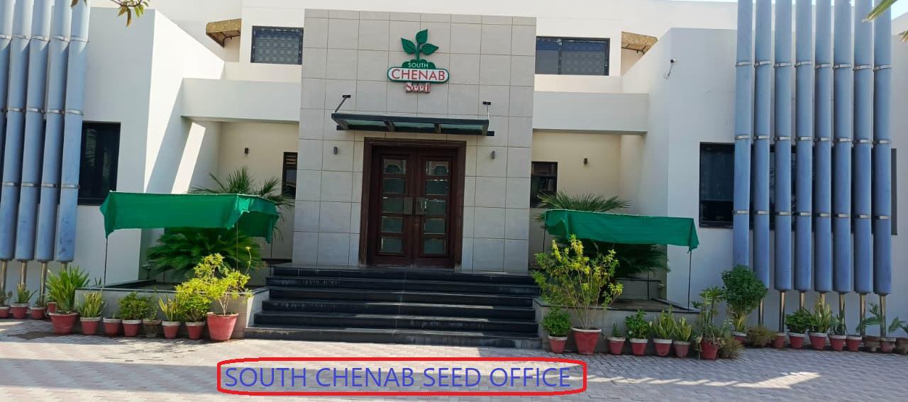 Head Office Side View