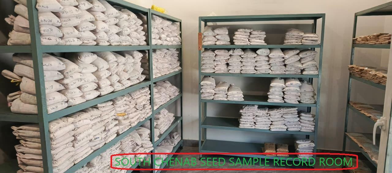 Seed Sample Record Room